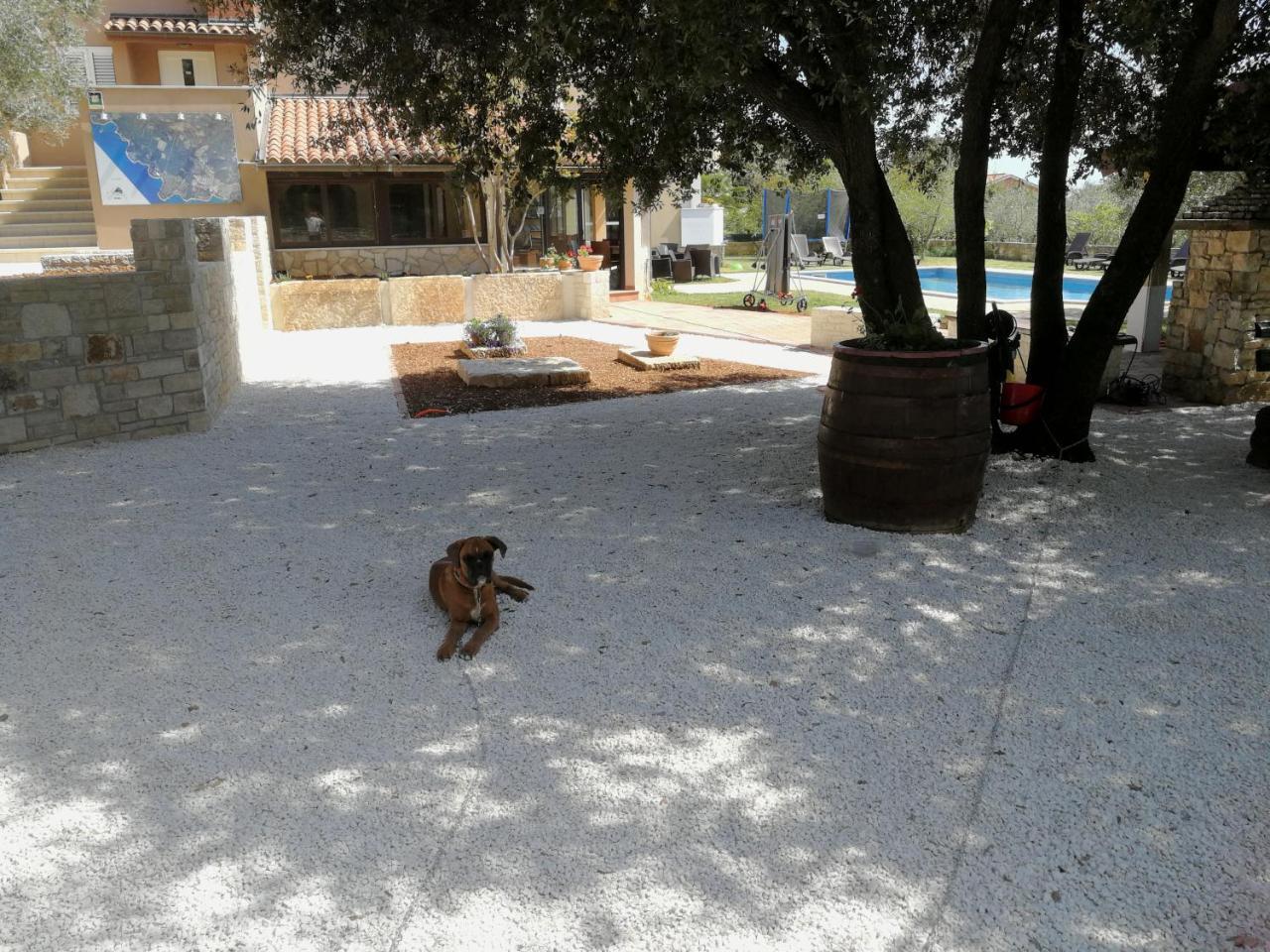 Guesthouse "Barboska" - Big Outdoor Swimming Pool & Private Tennis Court วอดิยัน ภายนอก รูปภาพ